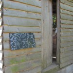The Compost Toilet