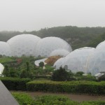 The Biomes